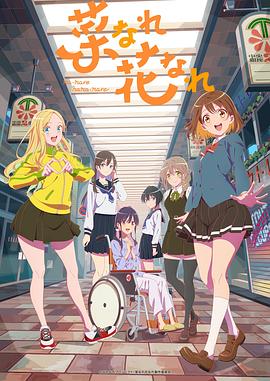 优化网站清晰度排名软件